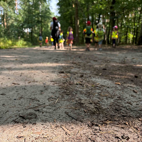 Kinder und eine Erwachsene gehen in einem Wald auf dem Weg