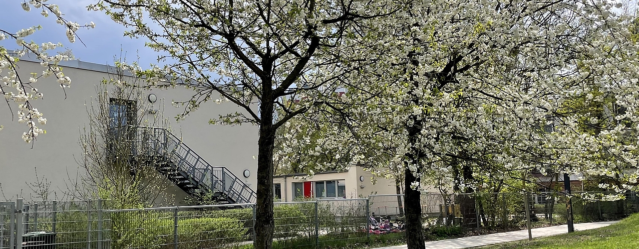Außenansicht des Fröbel-Kindergartens Sausewind in Potsdam im Stadtteil Zentrum Ost, umgeben von einer grünen Landschaft mit Spielbereichen für Kinder.
