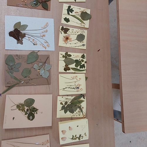 gebastelte Bilder mit gelegtem und festgeklebtem Naturmaterial