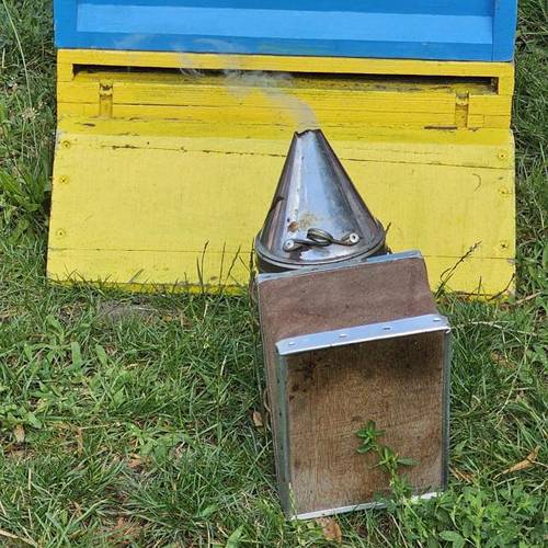 Rauch kommt aus Smoker vor dem Bienenstock